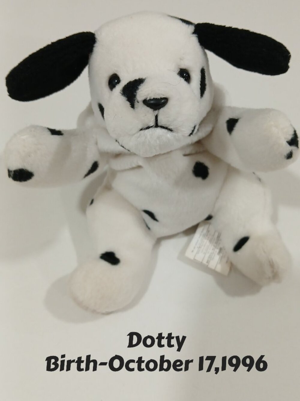 Ty Beany Baby Dotty With Birth Tag, Like New,